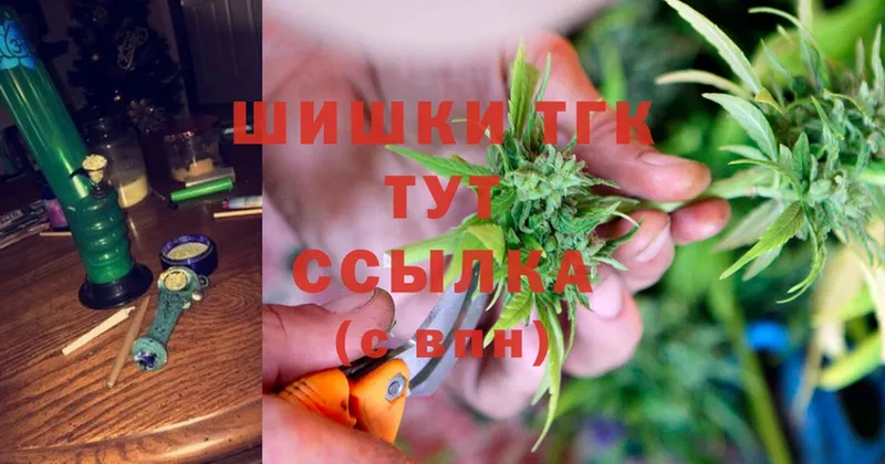 Конопля ГИДРОПОН  сколько стоит  Куса 